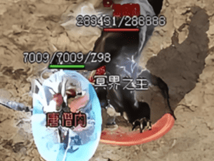 热血传奇sf